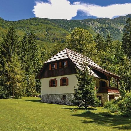 Chalet Primus Near Soca Gorge - Happy Rentals Soča Exterior foto