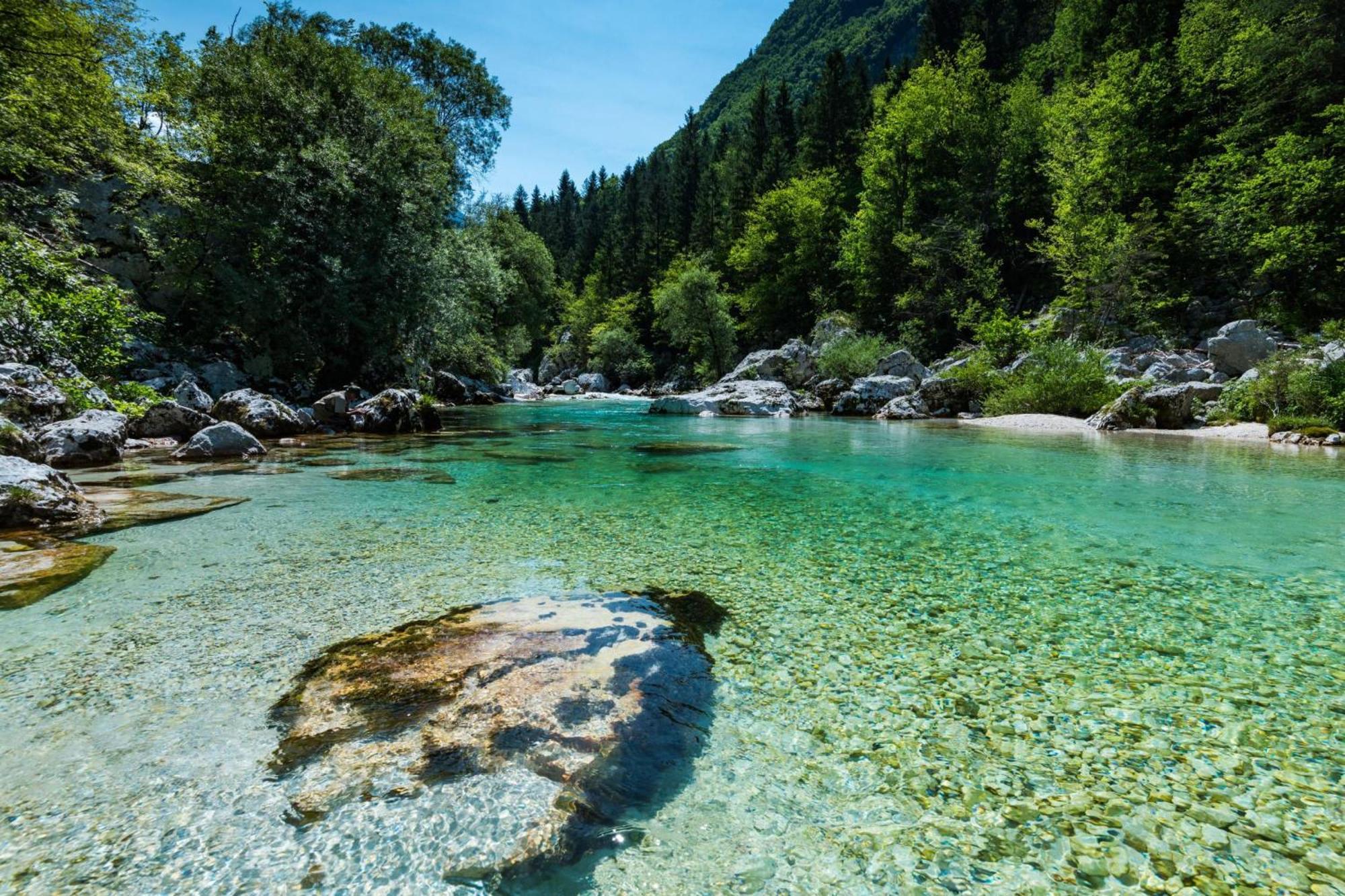 Chalet Primus Near Soca Gorge - Happy Rentals Soča Exterior foto
