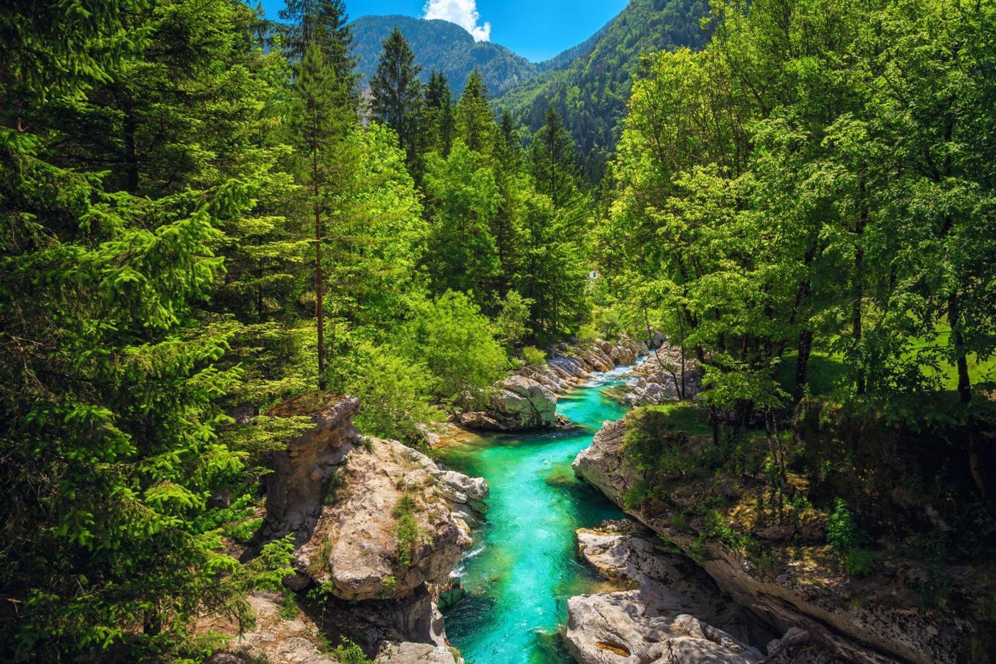 Chalet Primus Near Soca Gorge - Happy Rentals Soča Exterior foto